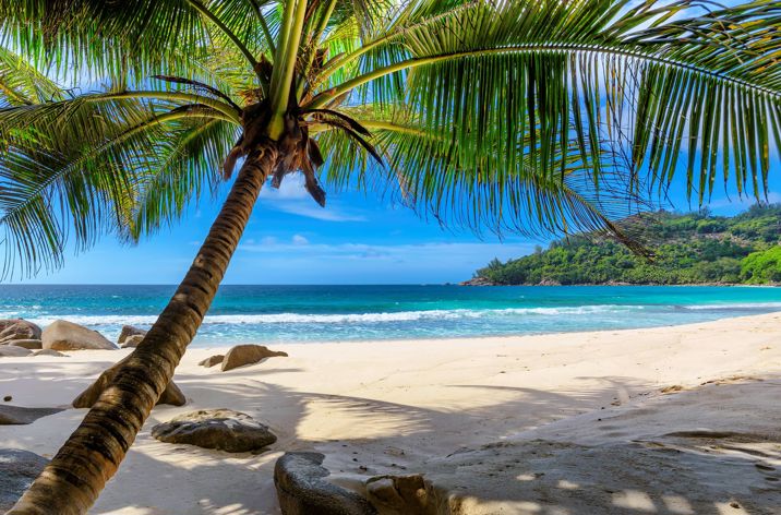 Barbados Paradise Beach